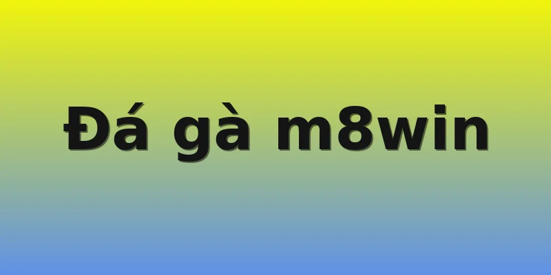 Đá gà m8win Đá gà m8win